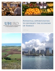 UHERO Report cover